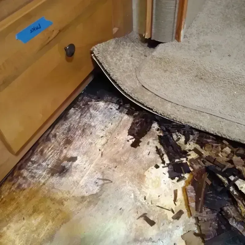 Wood Floor Water Damage in Altoona, IA